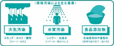 環境汚染による主な毒素　大気汚染・水質汚染・食品添加物